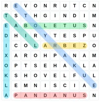 Griglia di crucipuzzle piena di lettere casuali. Evidenziazioni colorate mostrano le parole trovate nascoste orizzontalmente, verticalmente o diagonalmente.